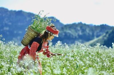 Top 10 điểm chụp đẹp với trang phục thổ cẩm ở Mộc Châu